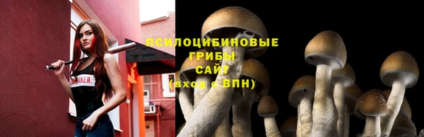 ALPHA-PVP Корсаков