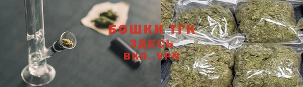 шишки Костерёво