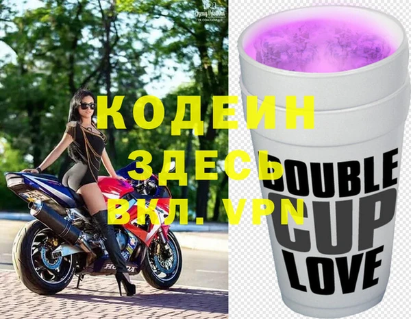 шишки Костерёво