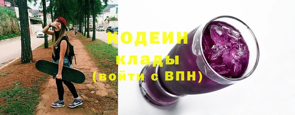 шишки Костерёво